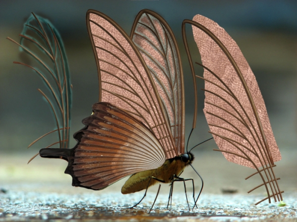 Creation of Butterfly Repair: Step 7